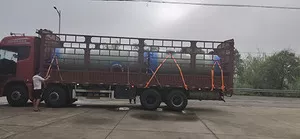 ABUIABBfGAAghOOryAYoosuNwAEwrAI4iwE